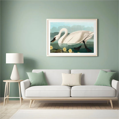 Diamond Painting - Wspólna amerykańska łabędź
