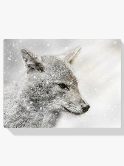 Diamond Painting - Szakal w śnieżycy