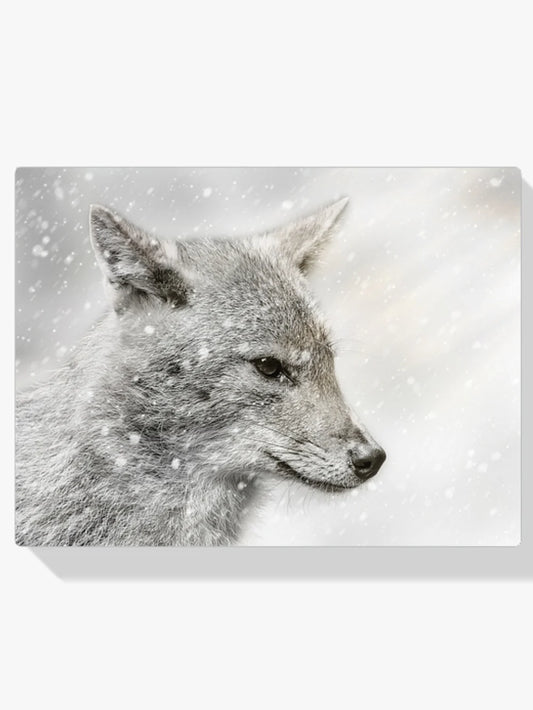 Diamond Painting - Szakal w śnieżycy
