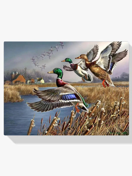 Diamond Painting - Outback dzikie kaczki