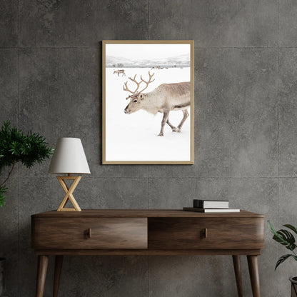 Diamond Painting - Renifery w zimowym krajobrazie