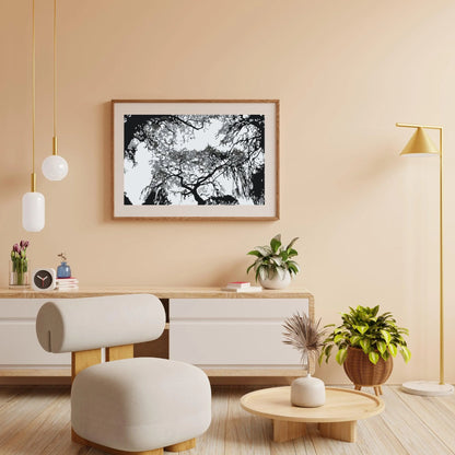 Diamond Painting - Sylwetka drzew - SEOS Shop ®