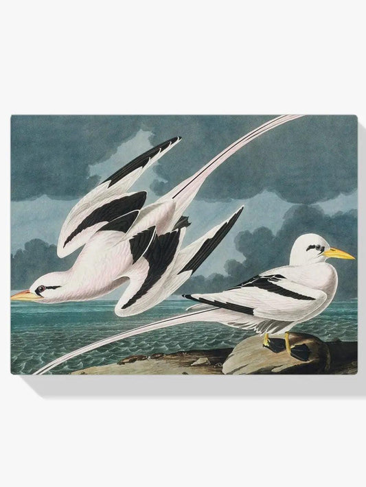 Diamond Painting - Tropikalny Ptak