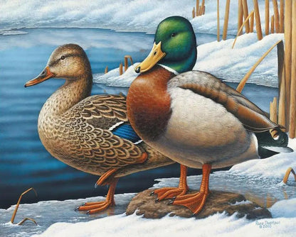 Diamond Painting - Zimowi goście