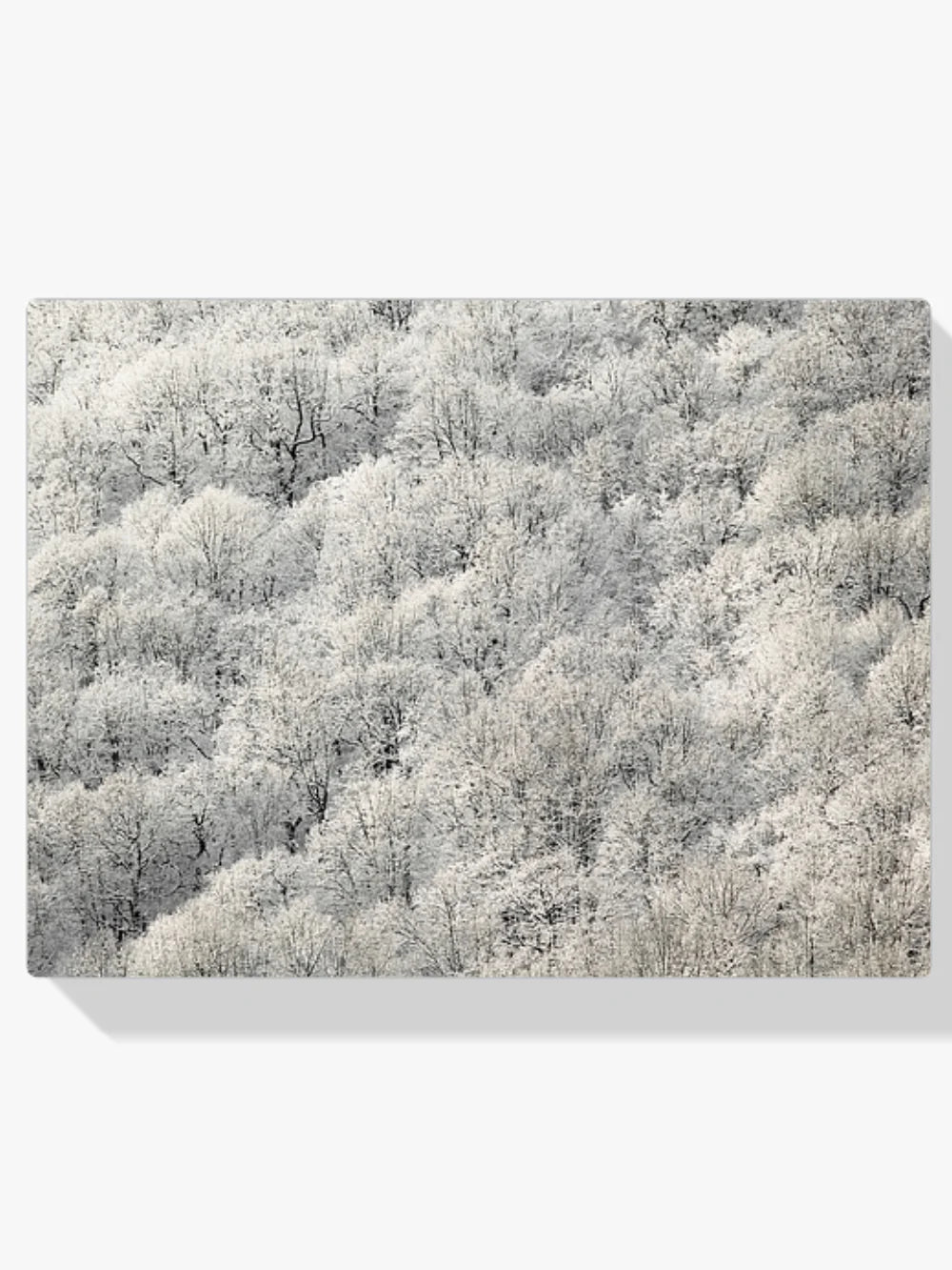 Diamond Painting - Białe drzewa