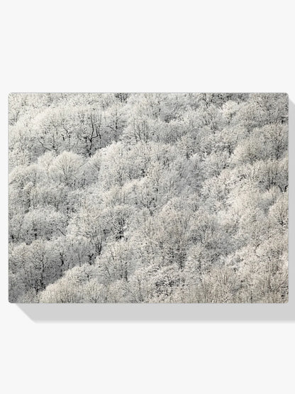 Diamond Painting - Białe drzewa