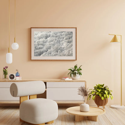 Diamond Painting - Białe drzewa