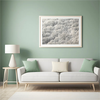 Diamond Painting - Białe drzewa