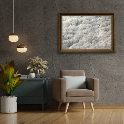 Diamond Painting - Białe drzewa