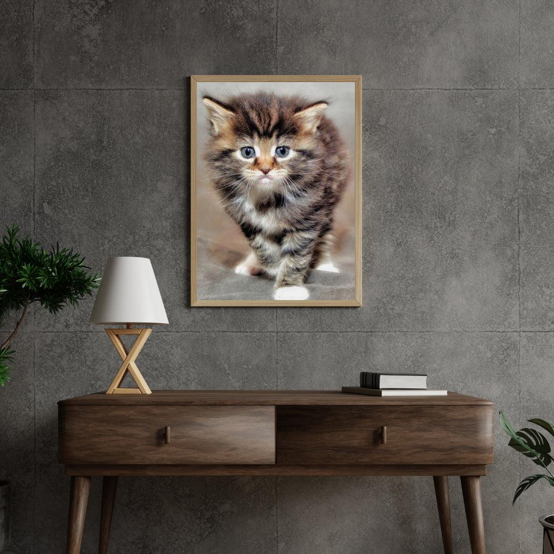 Diamond Painting Włochata kotka - SEOS Shop ®