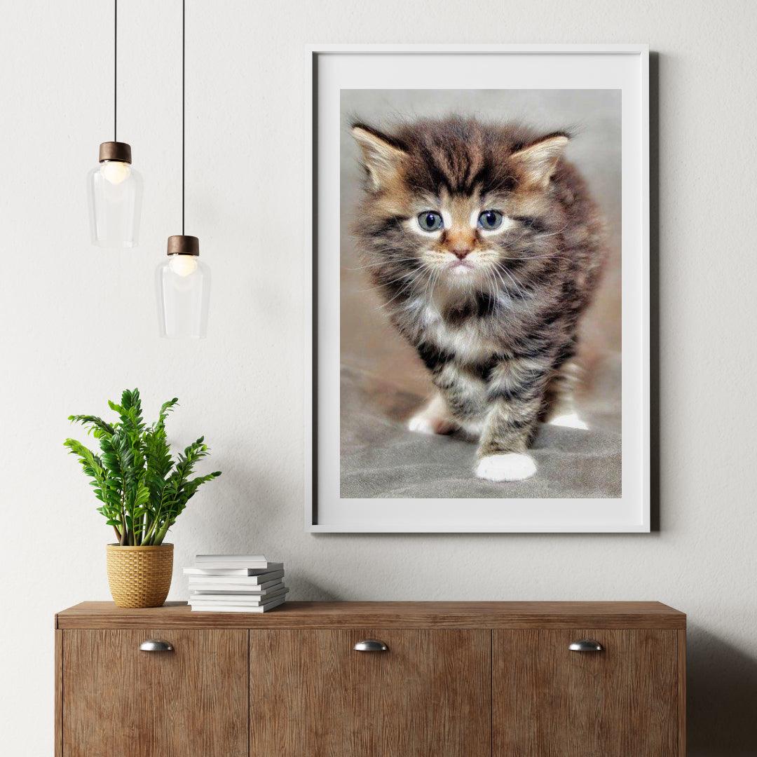Diamond Painting Włochata kotka - SEOS Shop ®