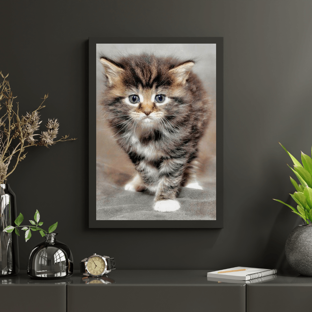 Diamond Painting Włochata kotka - SEOS Shop ®