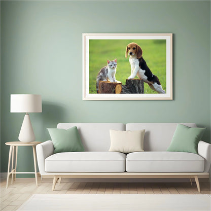 Diamond Painting Pies z Kotem - SEOS Shop ®
