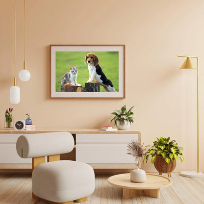 Diamond Painting Pies z Kotem - SEOS Shop ®