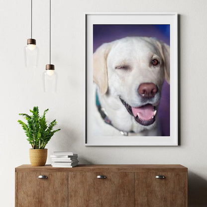Diamond Painting Pies z przymrużeniem oka - SEOS Shop ®