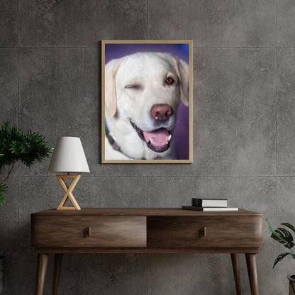 Diamond Painting Pies z przymrużeniem oka - SEOS Shop ®