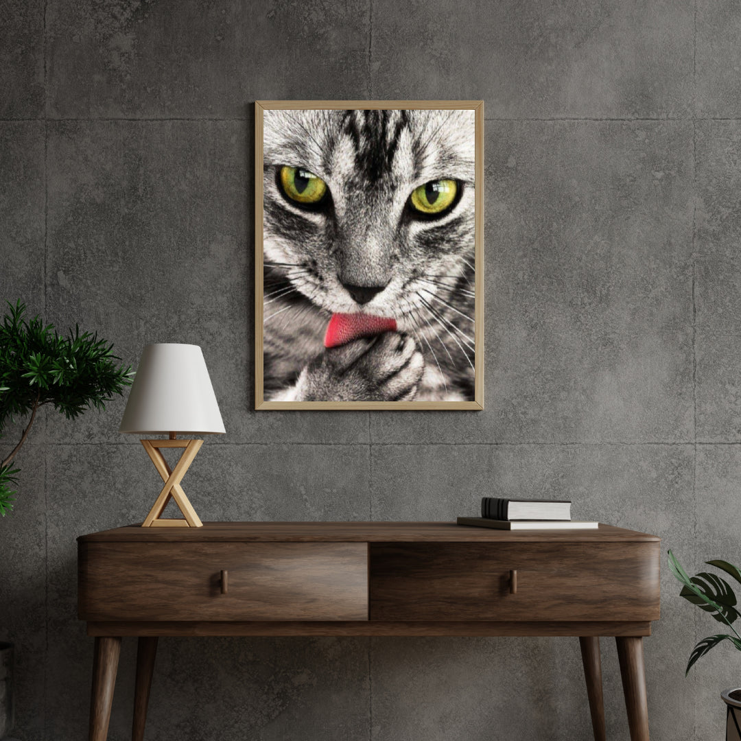 Diamond Painting Kot liżący rękę - SEOS Shop ®