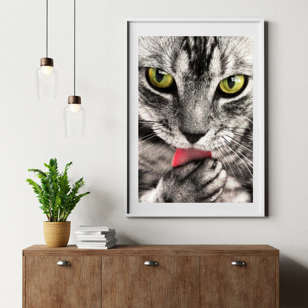 Diamond Painting Kot liżący rękę - SEOS Shop ®