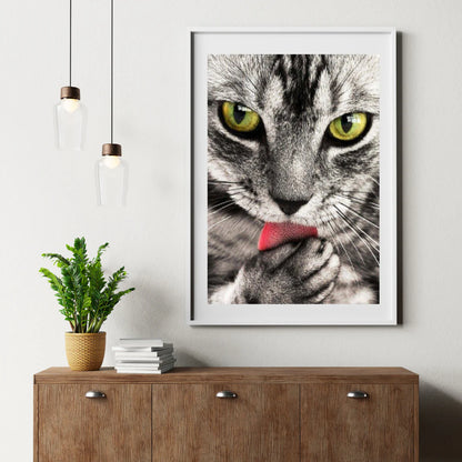 Diamond Painting Kot liżący rękę - SEOS Shop ®