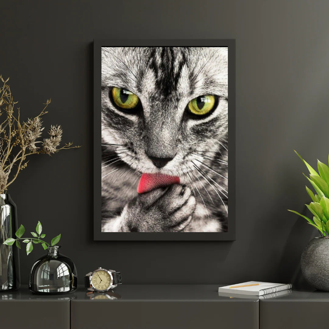 Diamond Painting Kot liżący rękę - SEOS Shop ®