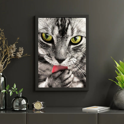 Diamond Painting Kot liżący rękę - SEOS Shop ®