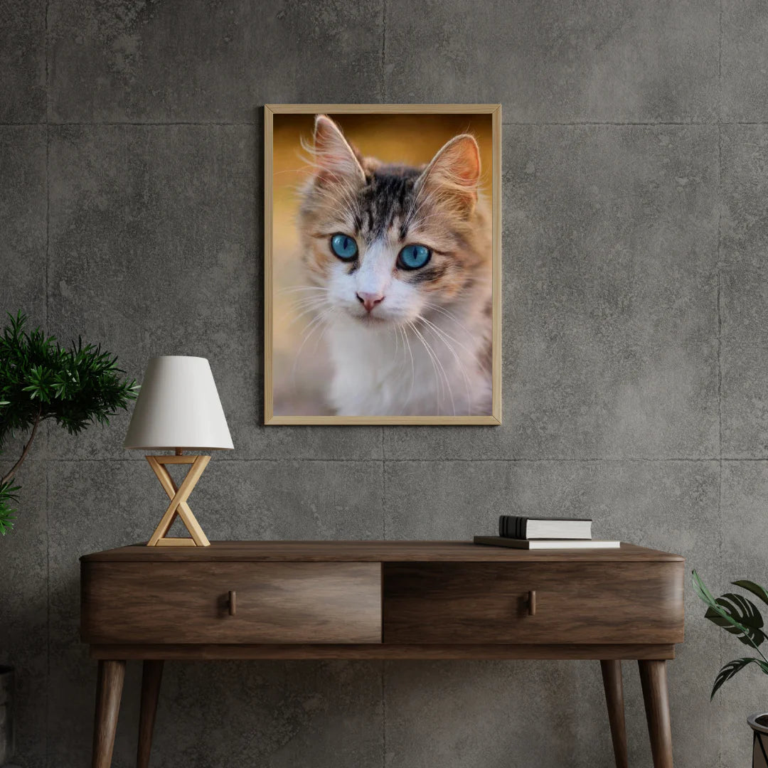 Diamond Painting Kitten z niebieskimi oczami - SEOS Shop ®