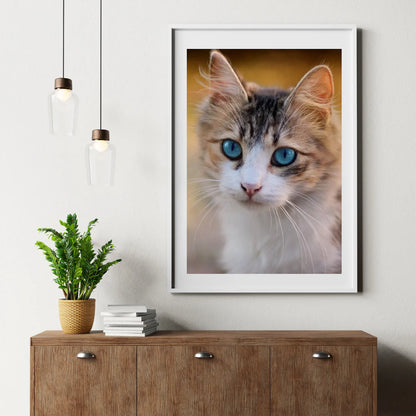 Diamond Painting Kitten z niebieskimi oczami - SEOS Shop ®