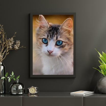 Diamond Painting Kitten z niebieskimi oczami - SEOS Shop ®