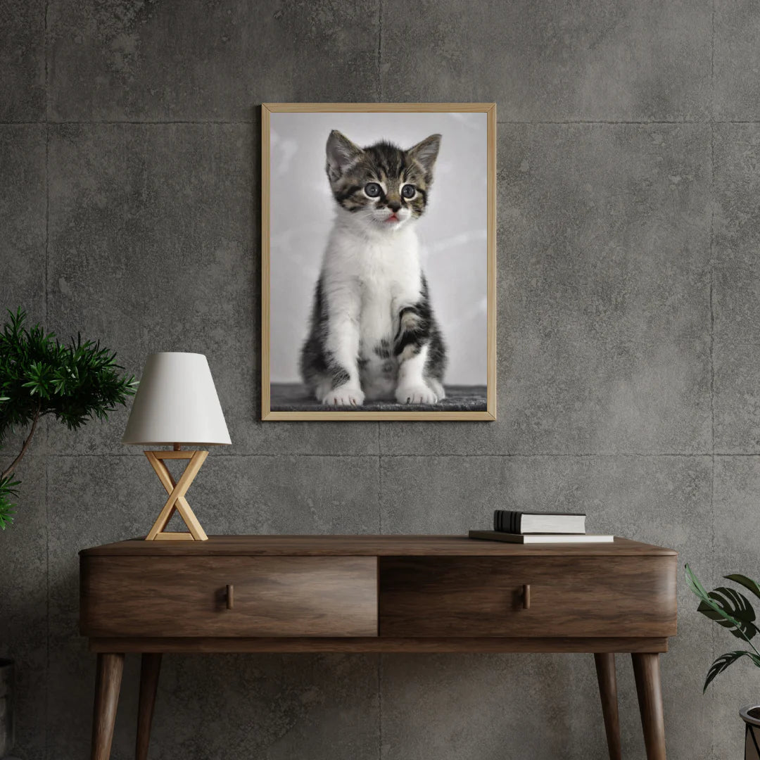 Diamond Painting Kotek z szarymi oczami - SEOS Shop ®