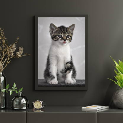 Diamond Painting Kotek z szarymi oczami - SEOS Shop ®