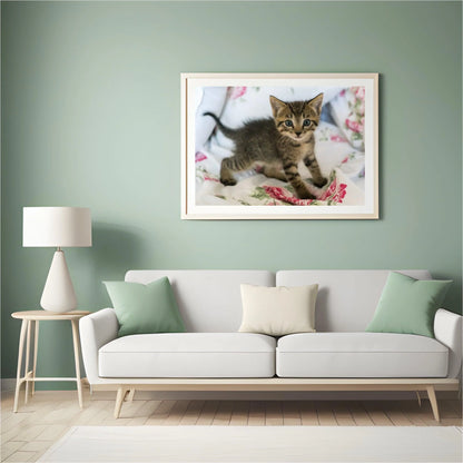 Diamond Painting Kot na łóżku - SEOS Shop ®