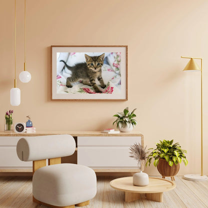 Diamond Painting Kot na łóżku - SEOS Shop ®