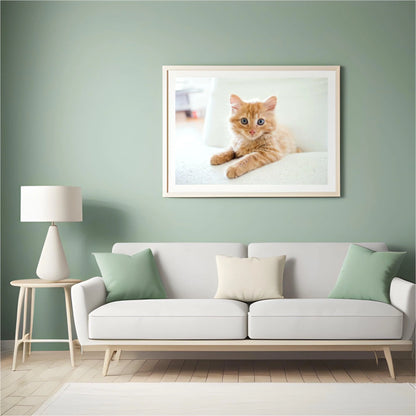 Diamond Painting Mała kocia w fotelu - SEOS Shop ®