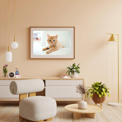Diamond Painting Mała kocia w fotelu - SEOS Shop ®