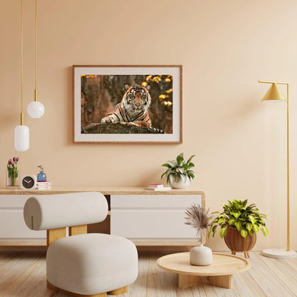 Diamond Painting Leżący tygrys - SEOS Shop ®