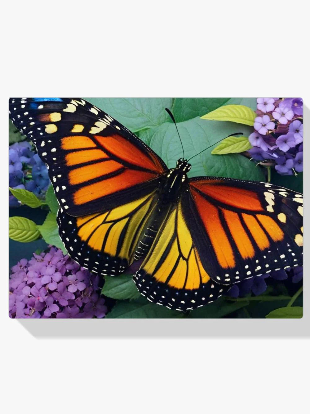 Diamond Painting Monarchmotyl - SEOS Shop ®