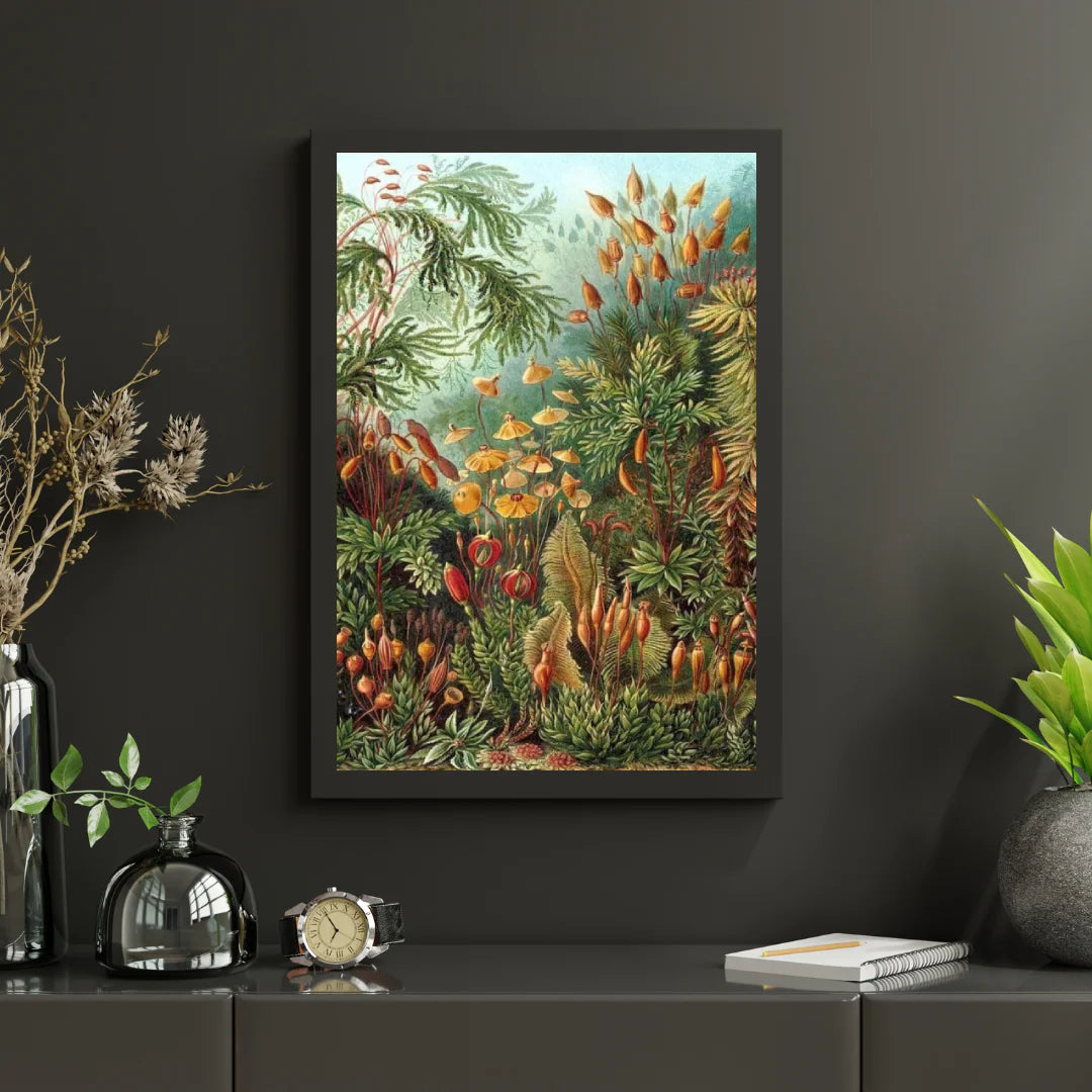 Diamond Painting Muscinae - SEOS Shop ®