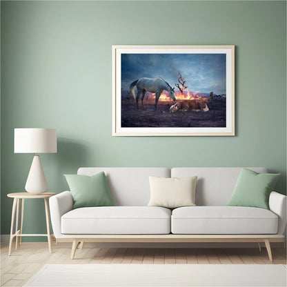 Diamond Painting Konie odpoczywają - SEOS Shop ®