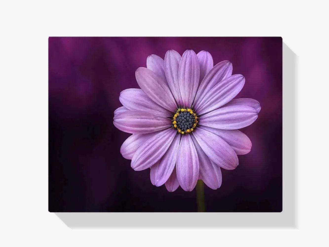 Diamond Painting Fioletowy kwiat - SEOS Shop ®