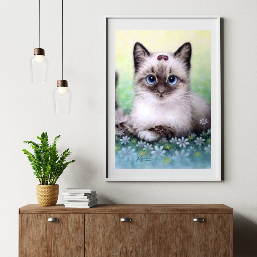 Diamond Painting Zestaw Kotek - SEOS Shop ®
