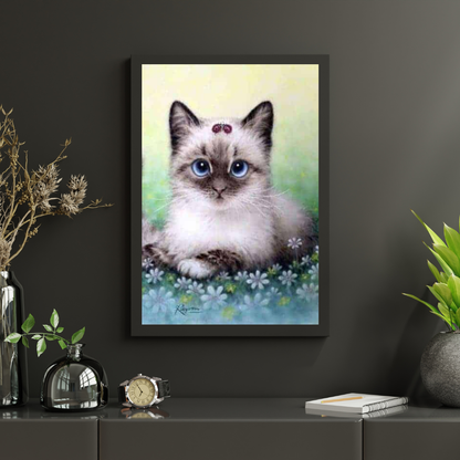 Diamond Painting Zestaw Kotek - SEOS Shop ®