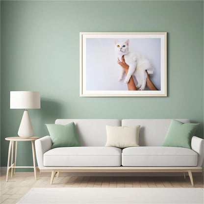 Diamond Painting Zestaw Biała kotka 45x30cm - SEOS Shop ®
