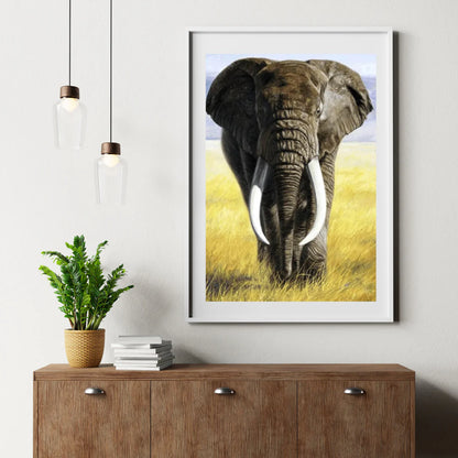 Diamond Painting Safari Słoń z kłami - SEOS Shop ®