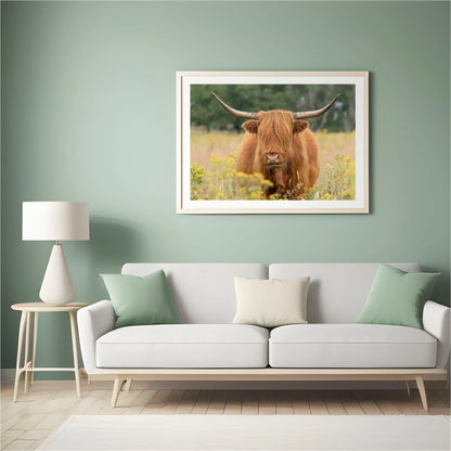 Diamond Painting Szkocki Highlander - Piękny szkocki highlander pasący się na polu - SEOS Shop ®