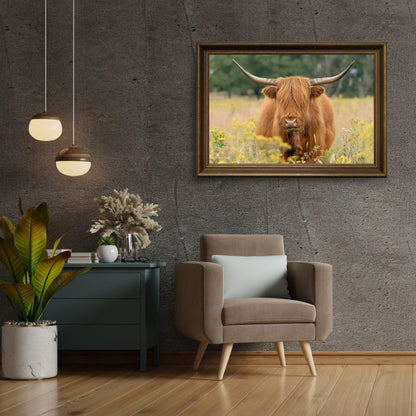 Diamond Painting Szkocki Highlander - Piękny szkocki highlander pasący się na polu - SEOS Shop ®