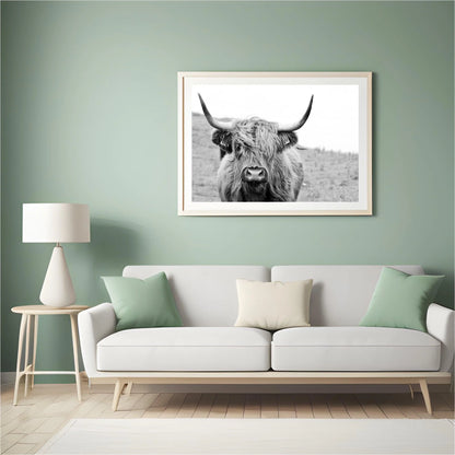 Diamond Painting Szkocki Highlander - Portret Szkockiego Highlandera w czerni i bieli - SEOS Shop ®
