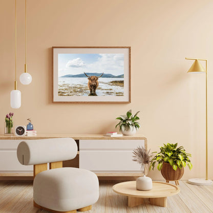 Diamond Painting Szkocki Highlander - Szkocki Highlander relaksujący się - SEOS Shop ®