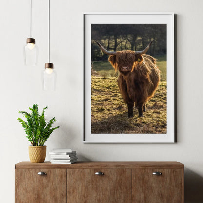 Diamond Painting Szkocki Highlander - Szkocki Highlander pasący się na polach - SEOS Shop ®