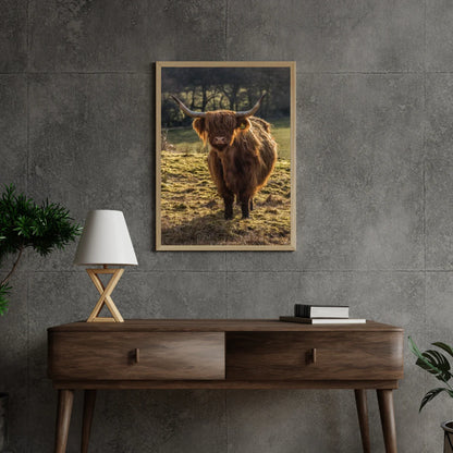 Diamond Painting Szkocki Highlander - Szkocki Highlander pasący się na polach - SEOS Shop ®