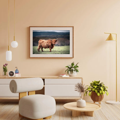 Diamond Painting Szkocki Highlander - Szkocki Highlander pasący się na wsi w Południowej Walii - SEOS Shop ®